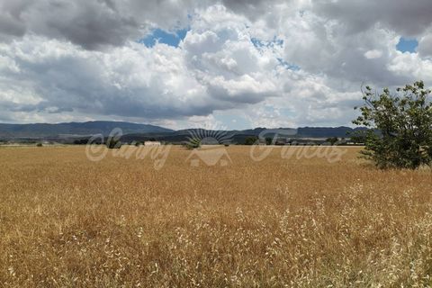 Helårsgrund i Yecla, Murcia, Yecla - € 32.900 | Ref: SF0321 - foto 6